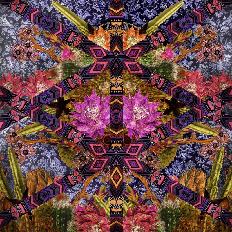 CACTOS4