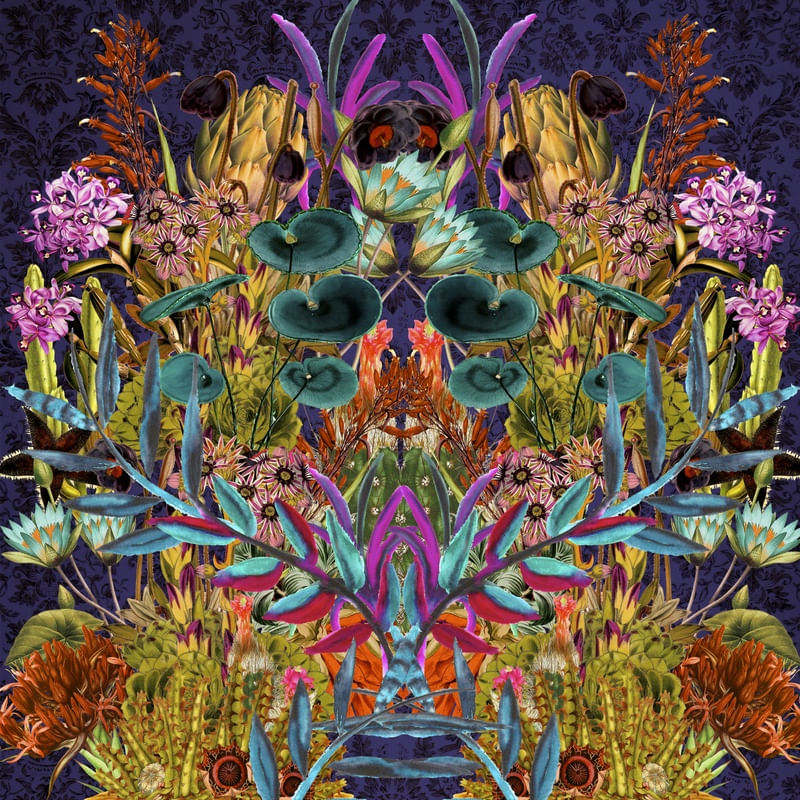 CACTOS2
