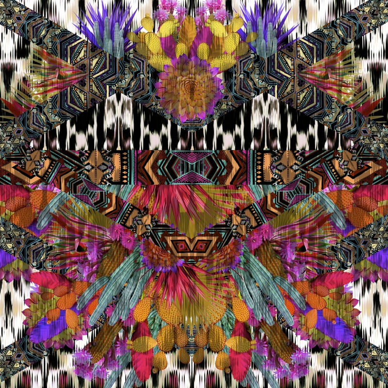 CACTOS3