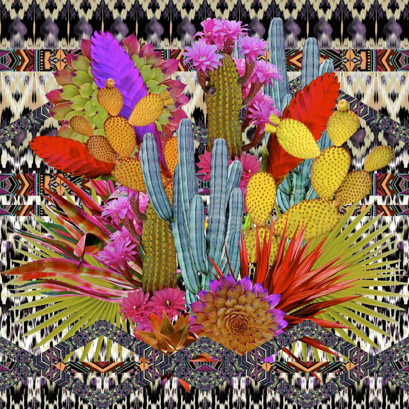 CACTOS1