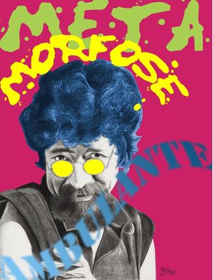 RAUL METAMORFOSE