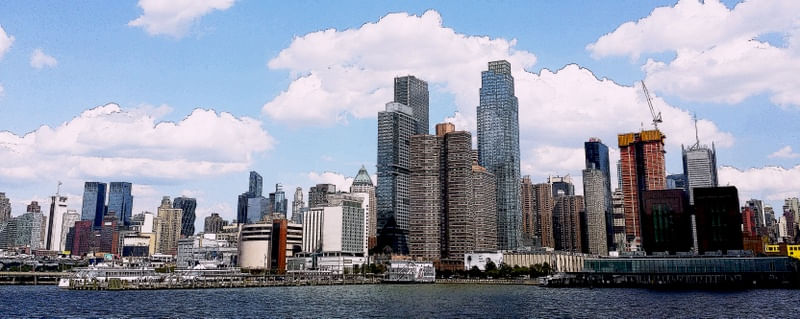 NYCLANDSCAPE