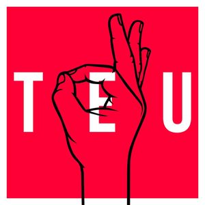 TEU C*