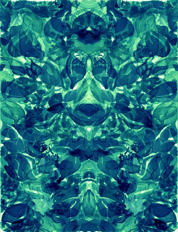 ENCHANTED FOREST 10