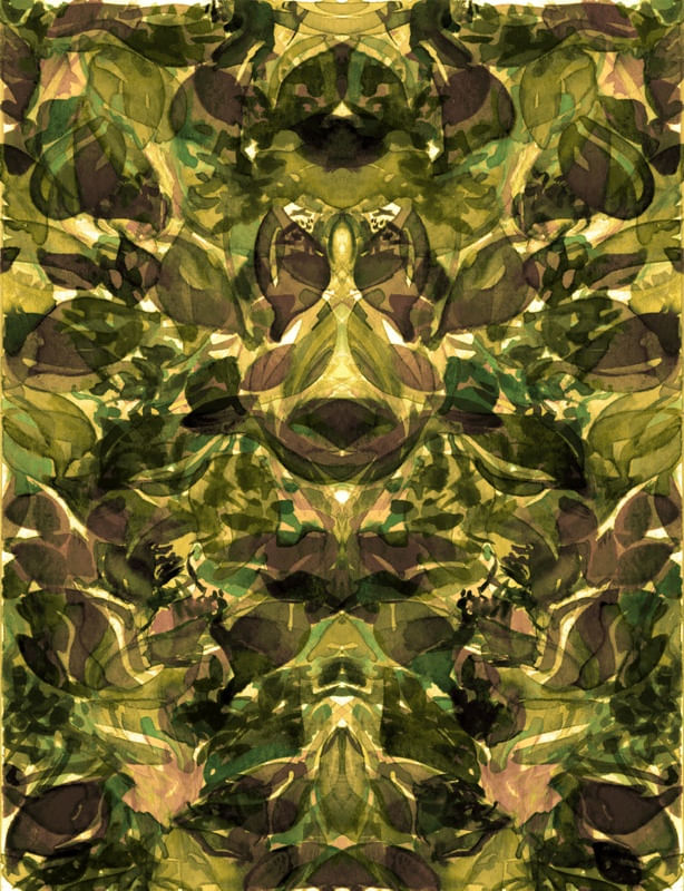 ENCHANTED FOREST 11