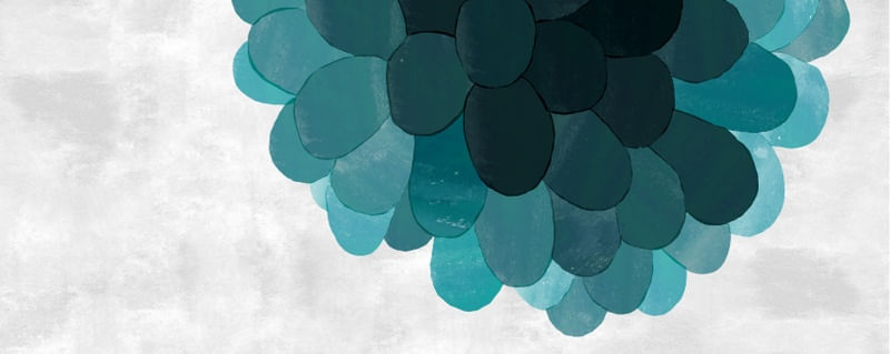 NUBE
