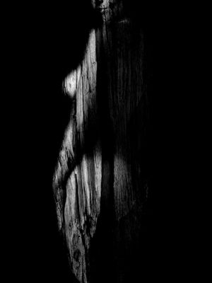 NATUREZA FEMININA I