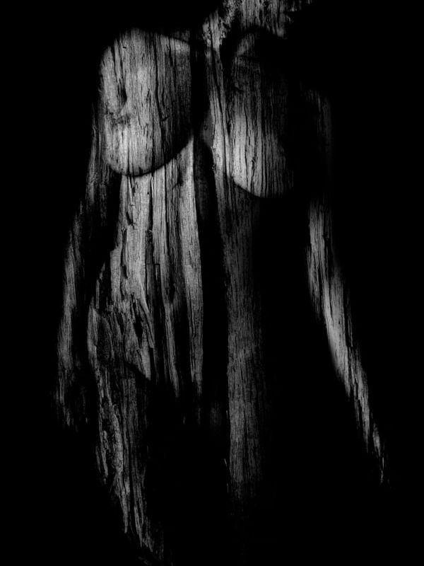 NATUREZA FEMININA II