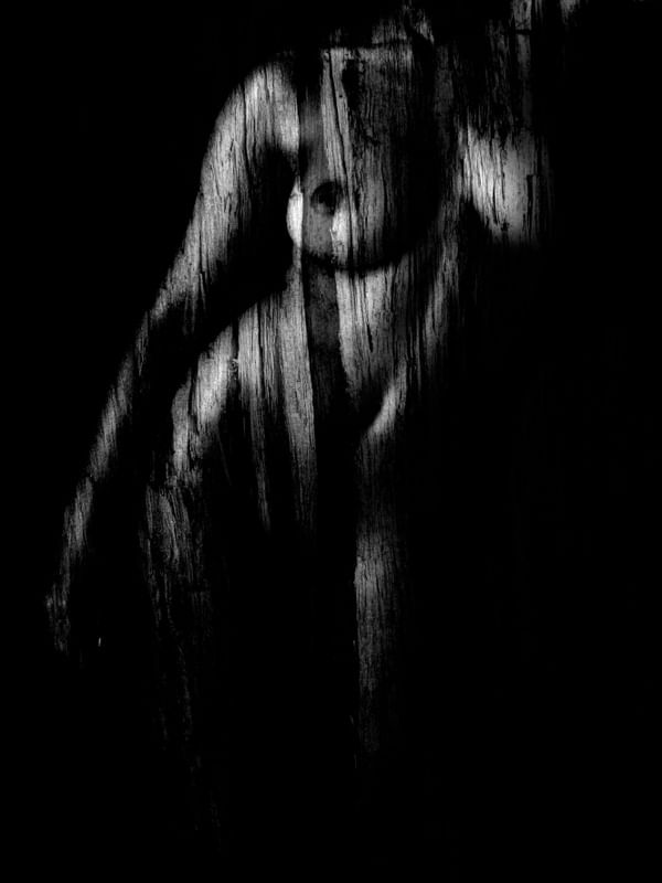 NATUREZA FEMININA IV