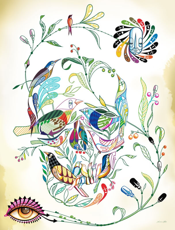 SKULL PASSAROS