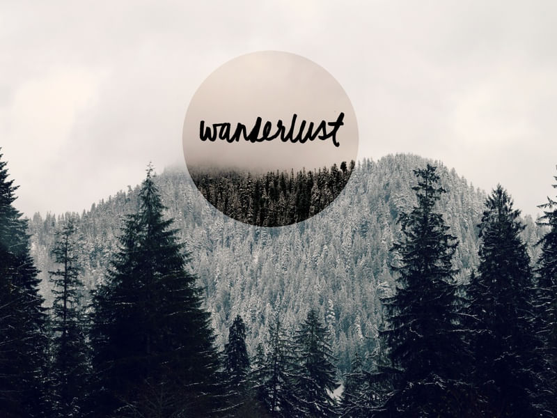 WANDERLUST 2