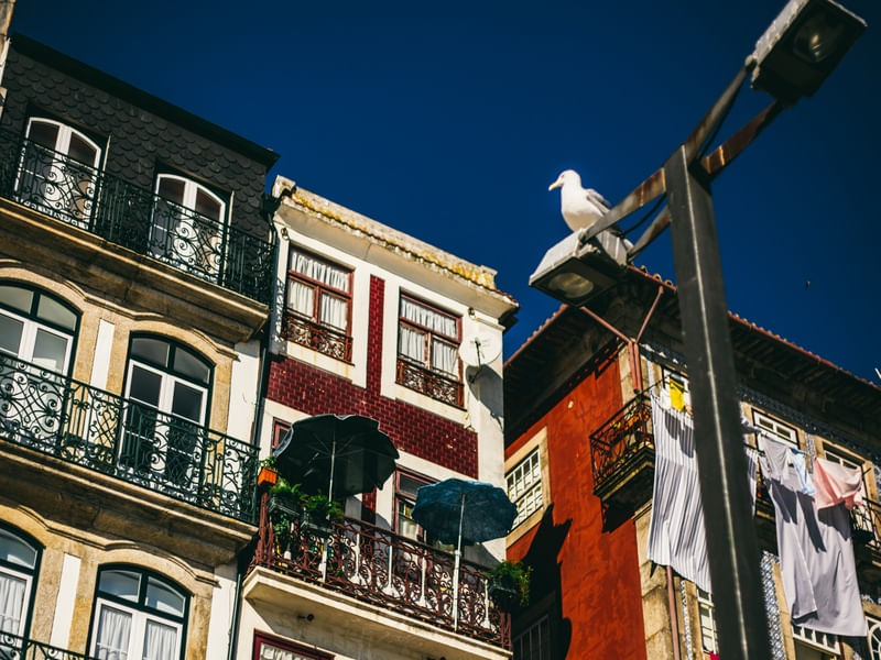 PORTUGAL 3