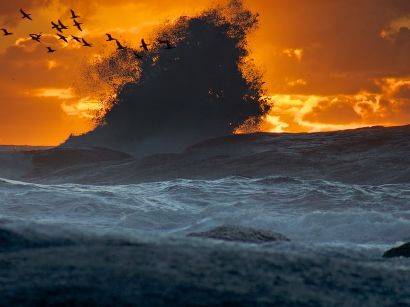 CAPE