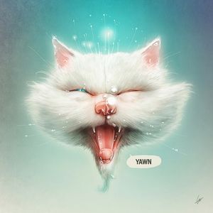 THE WATER KITTY