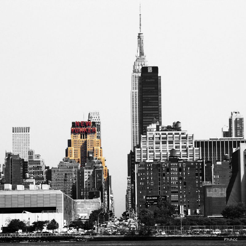 PMACC3 NY