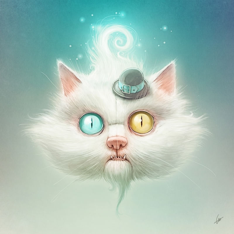 THE ODD KITTY