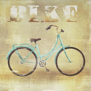 BIKE TRANSPORTES