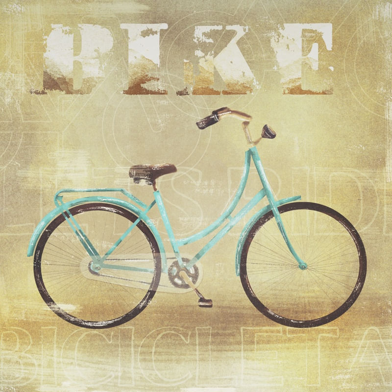 BIKE TRANSPORTES