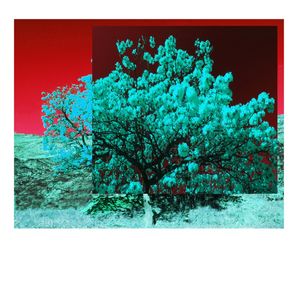 WHITE FLIES WITH RED SKY