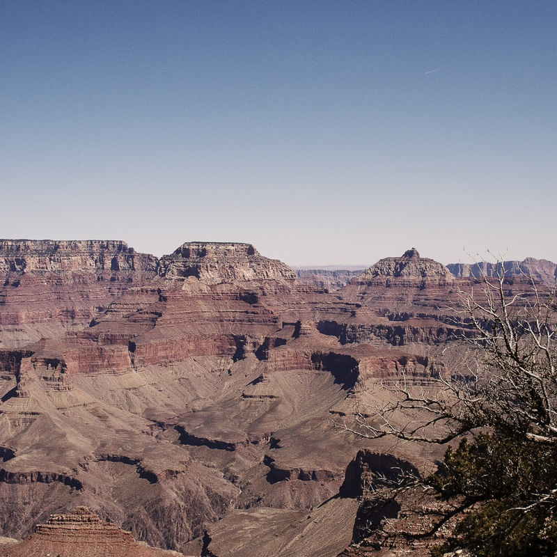 ARIZONA II