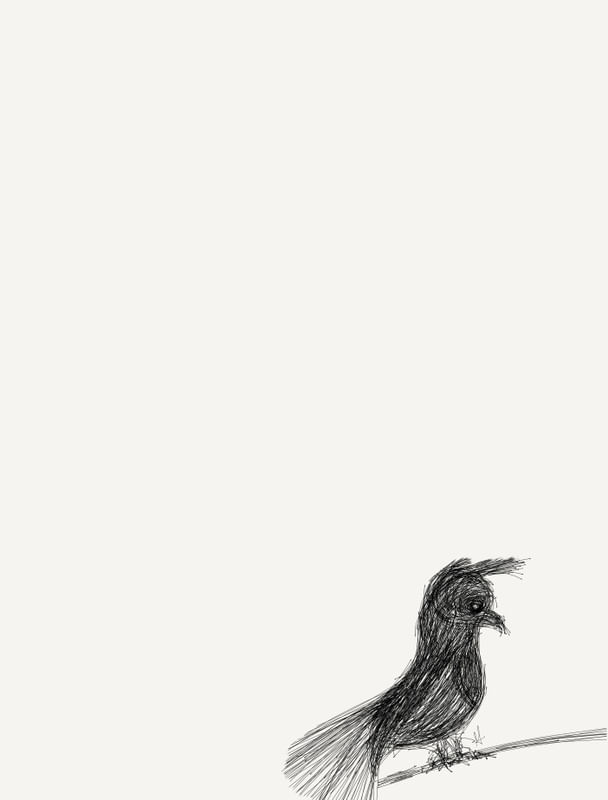 BIRDIE