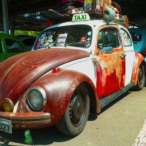 FUSCA JABIRACA