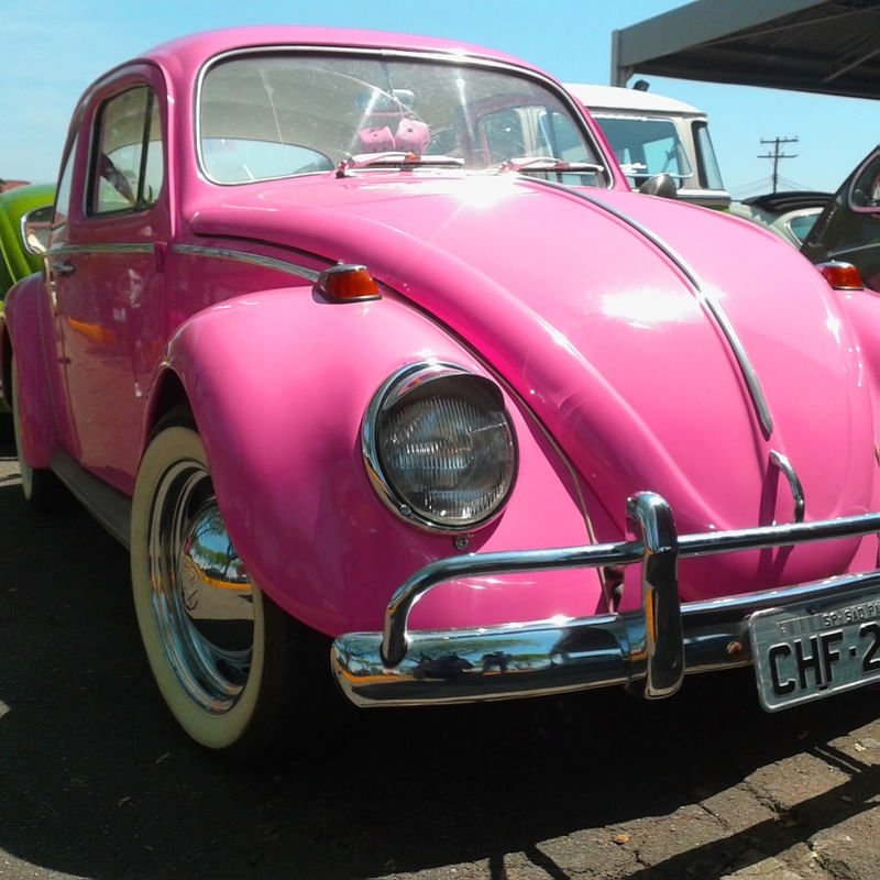 FUSCA PENELOPE