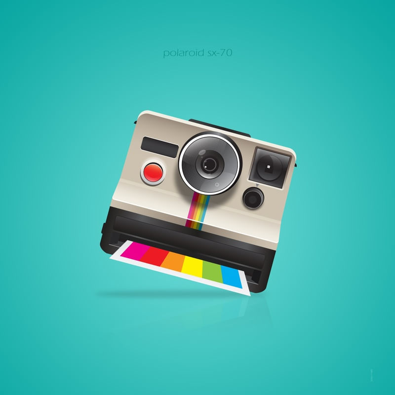 POLAROID I