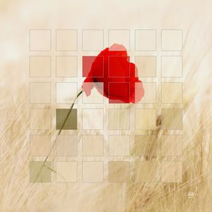 TRUE COLORS 04
