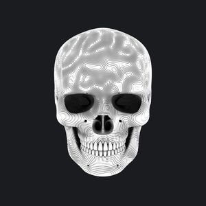 WHITE SKULL 01