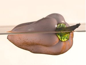 PIMENTA II