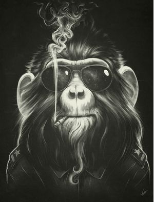 SMOKE EM IF YOU GOT EM