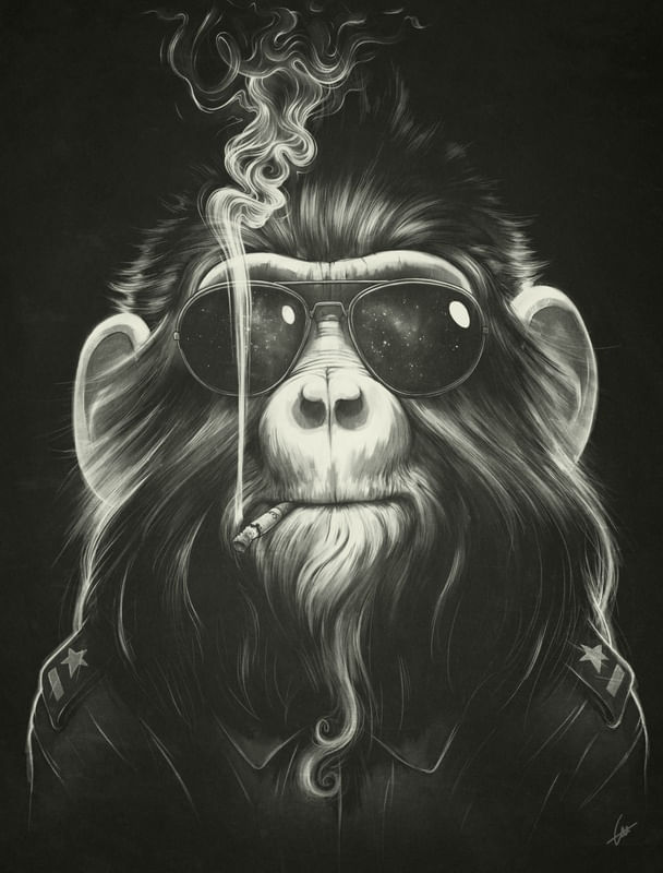 SMOKE EM IF YOU GOT EM
