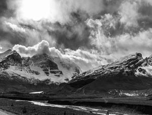 BNW LANDSCAPE