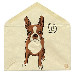CARTEIRO