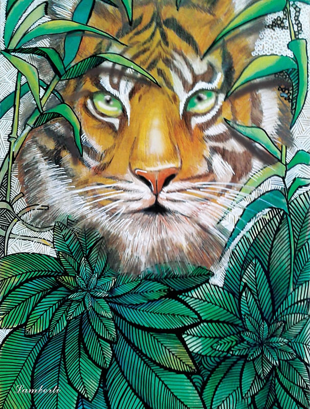 TIGRE NATURA