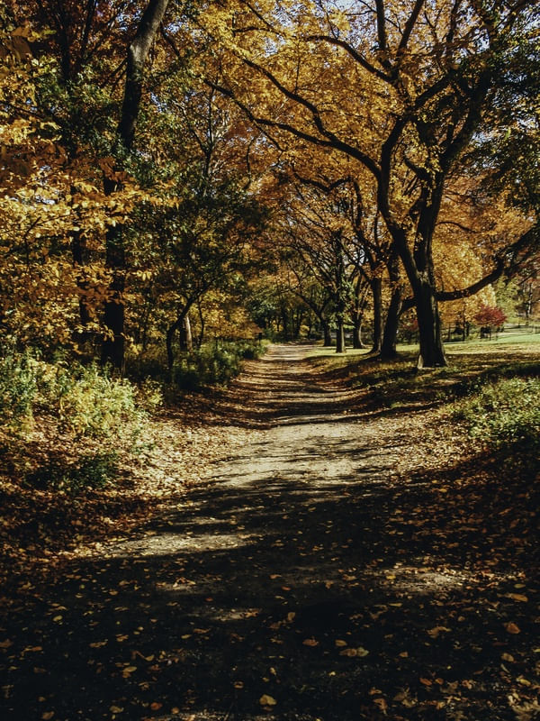 CENTRAL PARK - NEW YORK - NOVA YORK