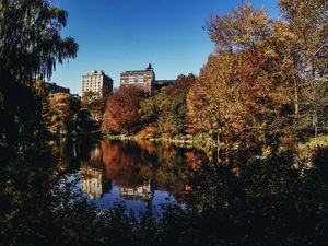 CENTRAL PARK - NEW YORK II