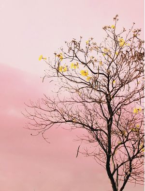 PINK MOOD #7