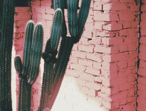 PINK MOOD #10
