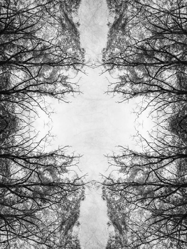 ÁRVORES MIRROR MADNESS TREES