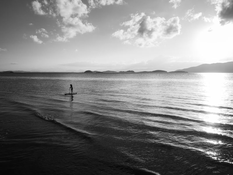 STAND UP SURF OCEAN