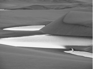 DUNAS #4