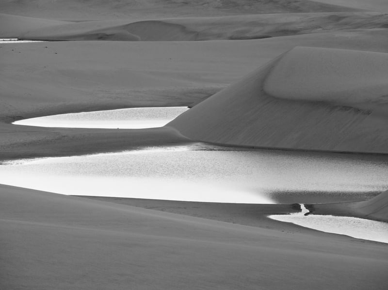 DUNAS #4