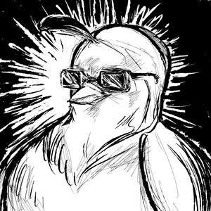 COOL PIGEON