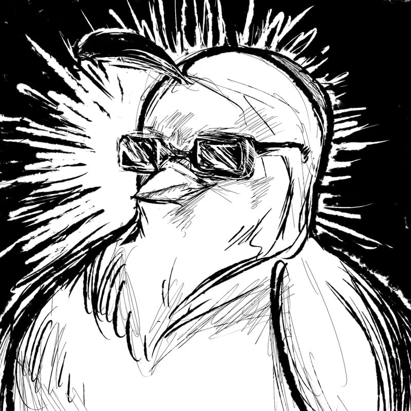 COOL PIGEON