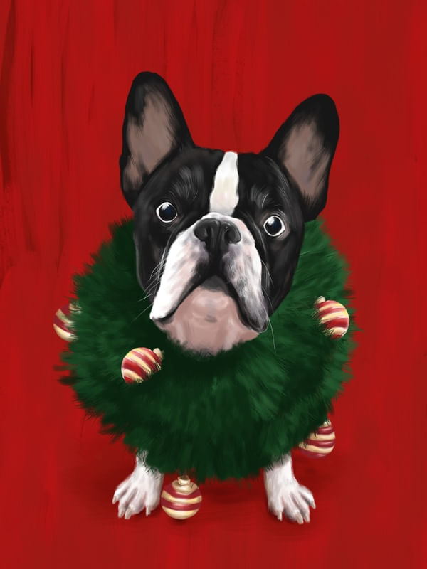 BULLDOG DE NATAL