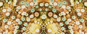 DFLORES 2