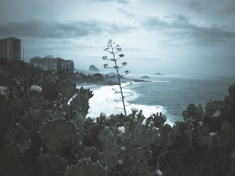 SURF E NATUREZA