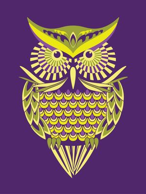 BRIGHT NIGHT OWL